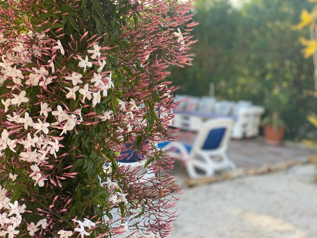 Lovely 2 Bed Apartment In Alcalalí Εξωτερικό φωτογραφία